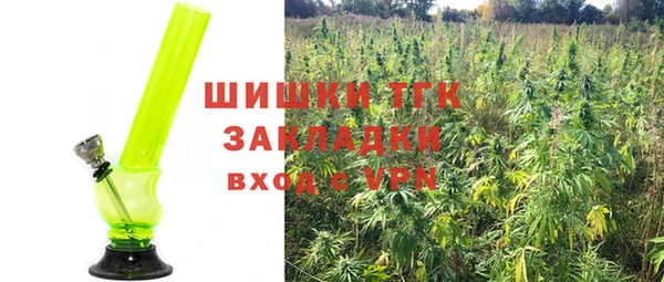 хмурый Горнозаводск
