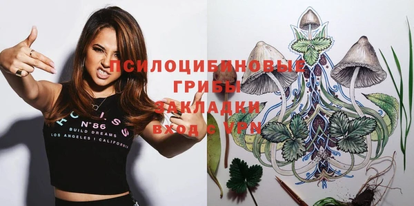 mdpv Горняк