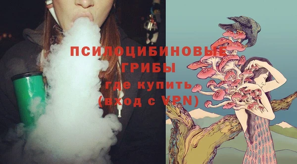 mdpv Горняк